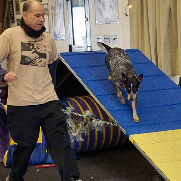 Dave Horner and his dog Ryder work on an agility course  Photo: Marty Abair.